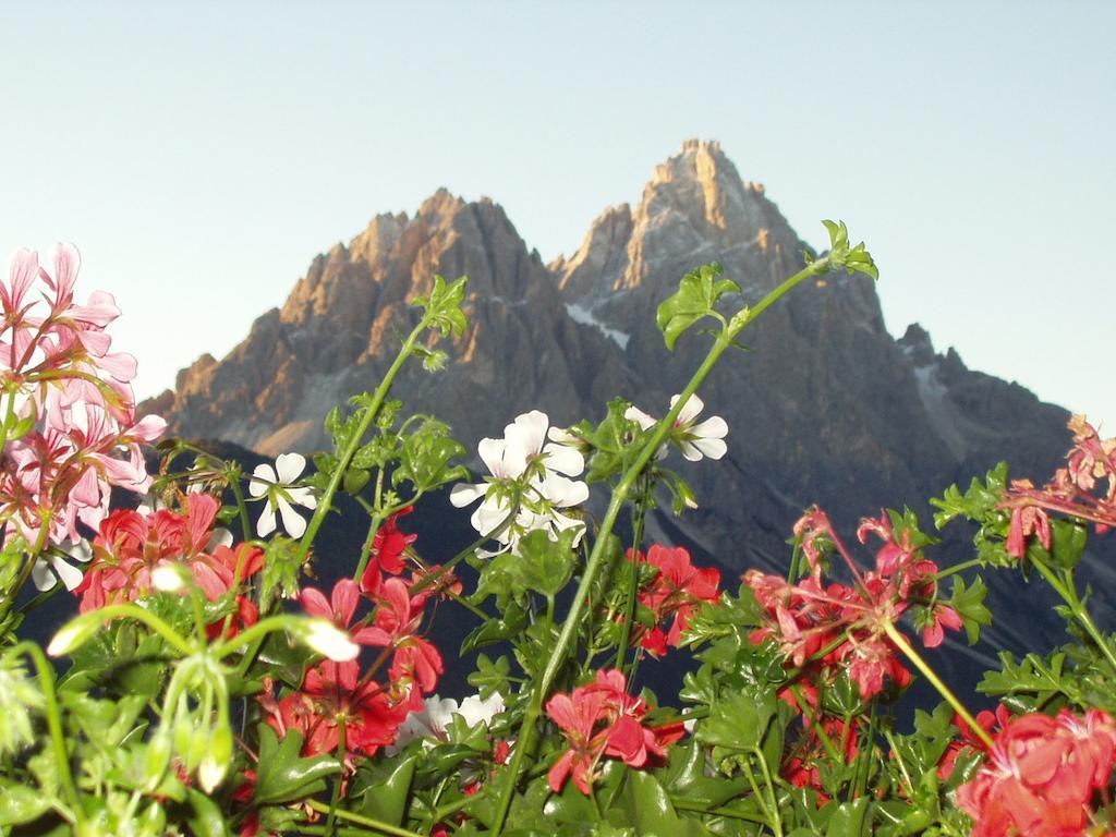 Galler Am Berg 산칸디도 객실 사진